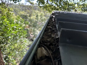 Gutter Cleaning